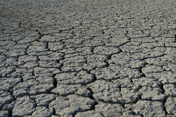 dry cracked soil in desertic place