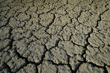 drought, dry cracked soil texture