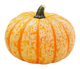 Colorful pumpkin with distinct stripes displayed, cut out - stock png.