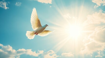 Fototapeta premium A white dove flying in the sky with sky background