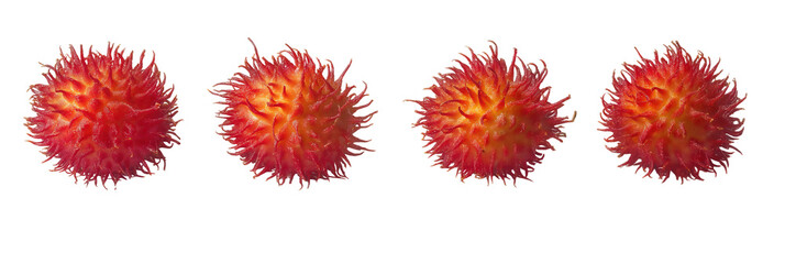 Brightly Colored Rambutan Fruits Displayed in a Row on a Clean White Background Showcasing Their Unique Hairy Texture and Vibrant Red Hues