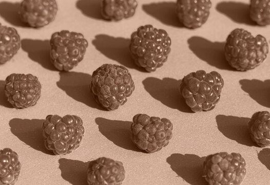 Raspberry pattern in trend color of year 2025 Mocha Mousse.