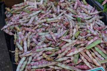 fresh and organic vegetables at the market , beans