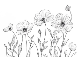 Delicate Blossoms: A Minimalist Line Art of Flowers