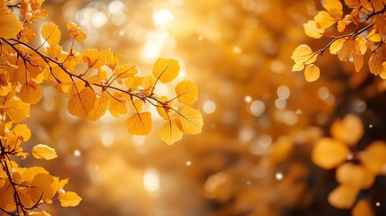 An autumn-themed background with Hello September text in warm yellow tones