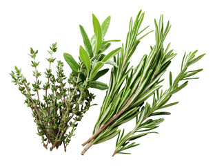 Fototapeta premium Fresh bundles of thyme, sage, rosemary, cut out - stock png.