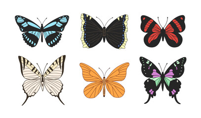 Set of colorful realistic butterflies. Tropical butterflies isolated on white background.