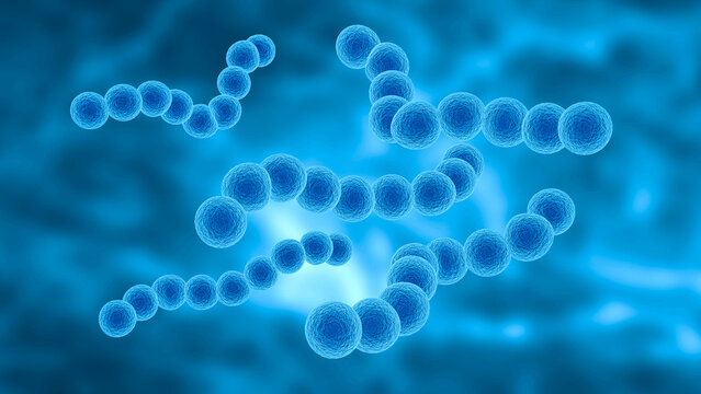 Streptococcus pyogenes is a highly infectious pathogenic bacterium that can cause serious illness if left unchecked