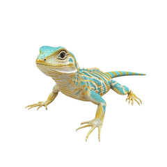 Fototapeta premium Vibrant Blue and Gold Lizard Posing on White Background