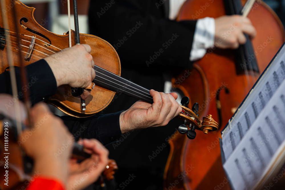 Wall mural  Viola in the hands of a musician in a symphony orchestra