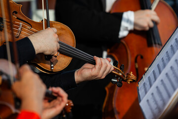  Viola in the hands of a musician in a symphony orchestra