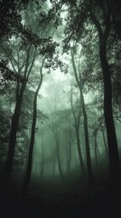 A misty forest scene with tall trees and a serene atmosphere.