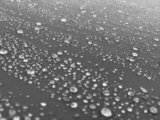 비가 온 뒤 모여있는 물방울