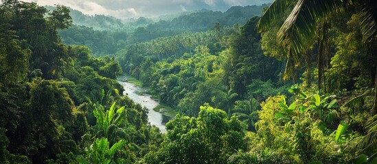 Lush green jungle with a river flowing through it, surrounded by mountains.