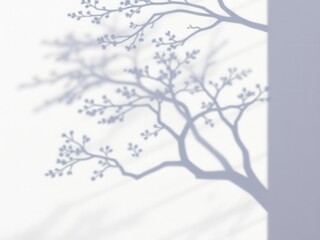 Realistic shadow effect of a tree silhouette on a textured wall, tree, stock