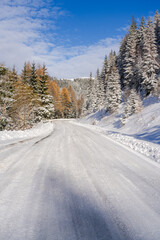 Winter landscape with snow-covered road and fir trees in the Carpathian mountains.