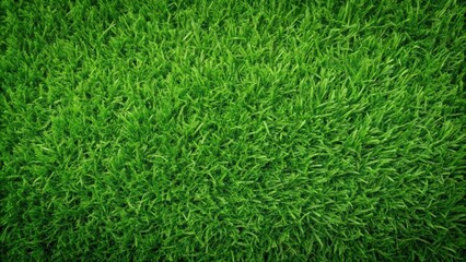 Lush green grass background pattern with vibrant shades of green, grass, green, nature, vibrant, background, texture, summer