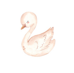 Watercolor swan illustration for kids