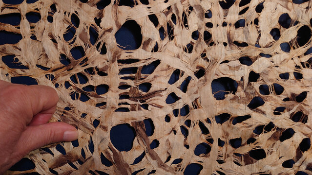 amate (amatl in nahuatl) bark paper made by Otom&iacute; people of Mexico - closeup
