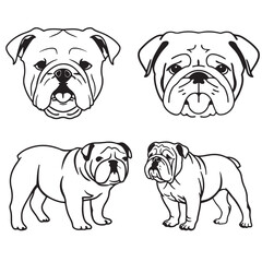 Bulldog silhouette vector illustration line art