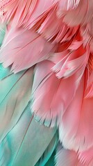 Obraz premium Delicate pink and turquoise feathers creating a soft, luxurious texture, perfect for design and fashion concepts. Vibrant colors enhance visual appeal and creativity.