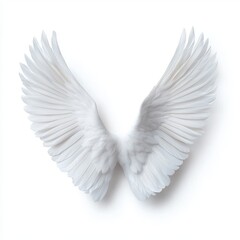 Fototapeta premium Majestic White Angel Wings Isolated on Bright Background