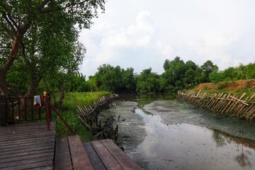 Portrait of the river in Surabaya's Mangrove forest at low tide, wooden fences on the right and left sides of the river, small ponds