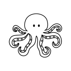 octopus