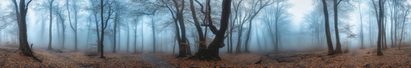 Obraz premium A misty autumn forest scene with bare trees and fallen leaves