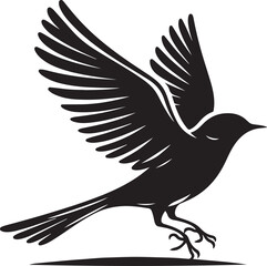 bird  isolated Vector, bird  Silhouette, bird  icon set, bird  logo,bird  Vector illustration, Vector Graphic, EPS 10 , clip art work,