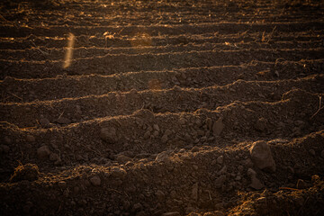Freshly plowed soil at sunset, ready for planting, captured in the Color of the Year 2025 tones. Warm, earthy hues blend with the evening sky, evoking renewal, growth, and seasonal transitions.