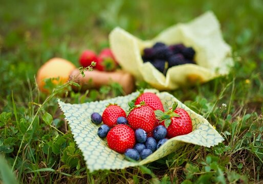 A beeswax wrap holding fresh fruit, with a picnic setup on a green meadow.