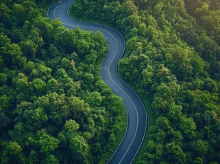 Fototapeta premium Aerial view of winding road through lush green forest highlighting sustainable travel and carbon neutrality