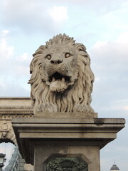 Lion statue at the entrance of the Chain Bridge in Budapest - Hungary