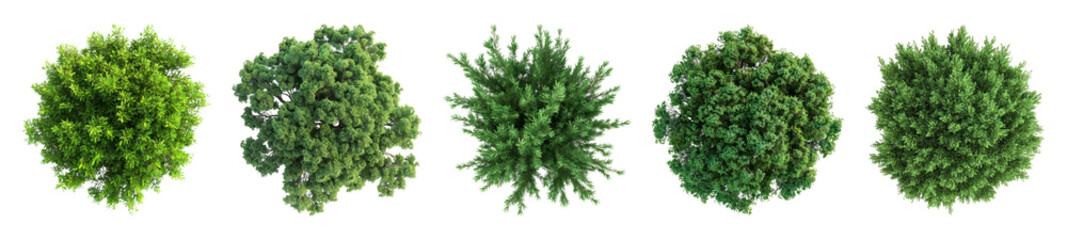 Obraz premium PNG Bushes top view set on transparent background