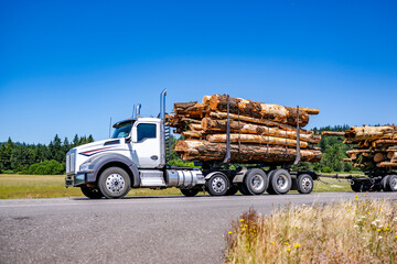 Day cab white big rig semi truck tractor transporting fastened wood logs on two semi trailers running on the narrow road at sunny day