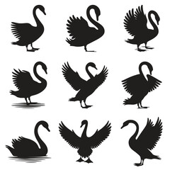 Set of swan silhouettes in various poses. isolated vector on white background.
