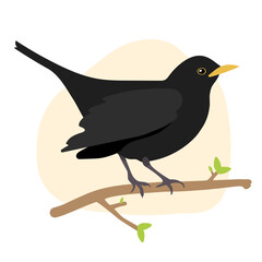 Blackbird Great Britain United Kingdom Flat Graphic Vector Illustration on Isolated Background