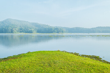 Obraz premium Beautiful swamp and forest in nation park. Nature background.