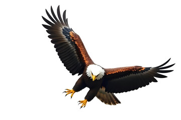 Obraz premium Eagle on transparent background