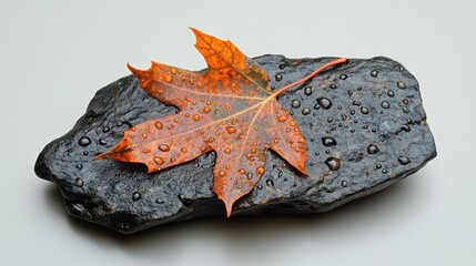 Single orange maple leaf with water droplets on a dark rock.