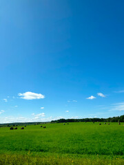 green field and blue sky
