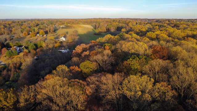 Overlooking the forest in Brandywine Valley in First State National Historical Park from a farm, Chadds Ford, Pennsylvania