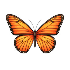 Fototapeta premium Vibrant Monarch Butterfly Illustration on White Background