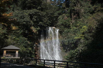 Fototapeta premium 丸尾滝の自然風景