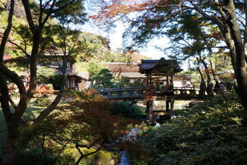 日本庭園の橋