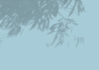 The shadow of many tree leaves on a blue wall. Black and white image for photo overlay or mockup