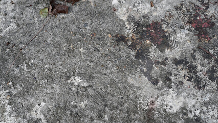 Weathered Stone on the Ground: Natural Texture and Eco-Friendly Background