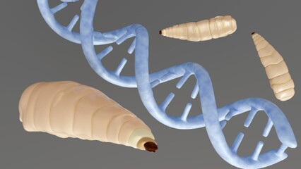 A 3d rendering of maggots consume DNA as part of their diet. They feed on decaying organic matter, which includes the DNA of the organism.
