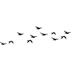Flock of birds. Flying birds silhouette. Smile birds 